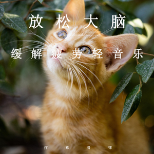 女人又爽❌又黄❌v999
