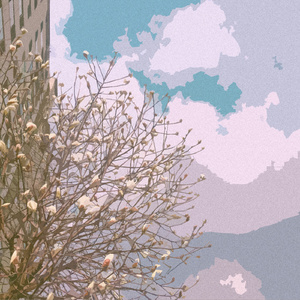 女人又爽❌又黄❌v999
